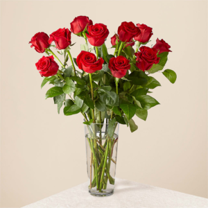Bouquet of red roses in vase, A Dozen Red Roses