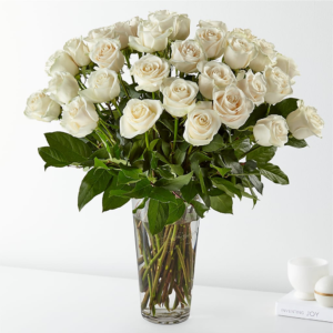 Three Dozen White Roses