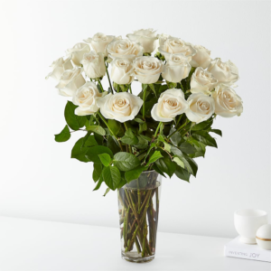 Two Dozen White Roses