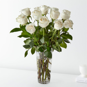A Dozen White Roses