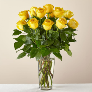 A Dozen Yellow Roses