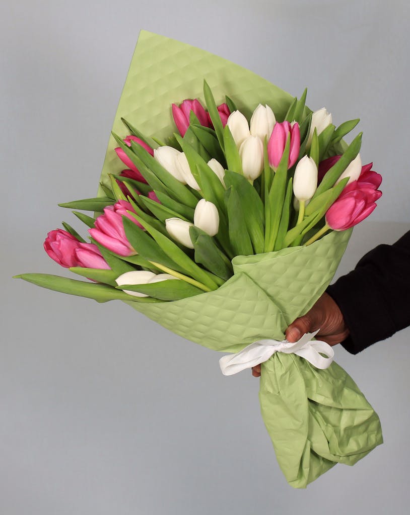 Elegant bouquet of pink and white tulips wrapped in green, held against a neutral background.