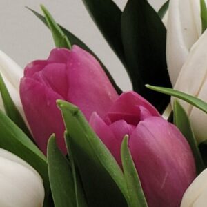 Pink and white tulip bouquet arrangement