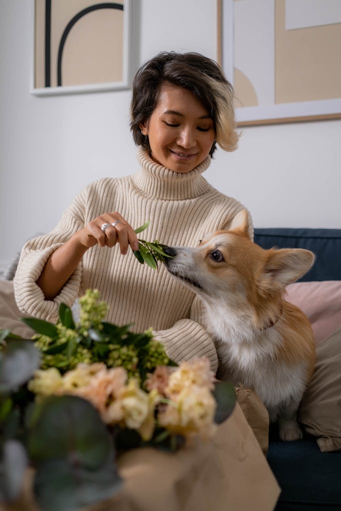 An Asian woman and her corgi enjoying a floral arrangement on a cozy indoor setting.
