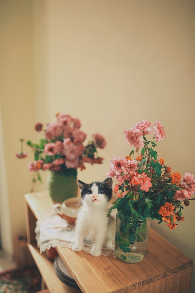 Cute kitten sitting beside colorful flower bouquets on a wooden shelf indoors.