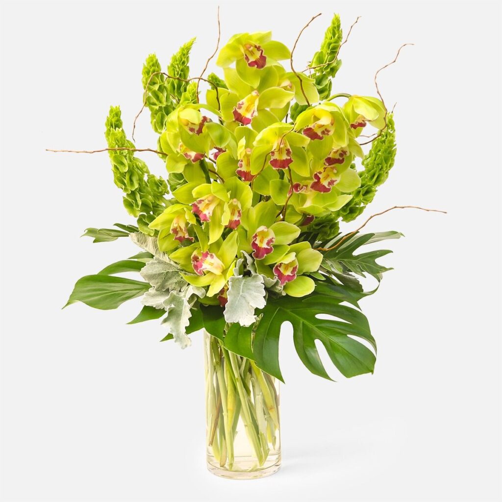 Emerald Guardian Floral Arrangement, Vibrant green orchid floral arrangement