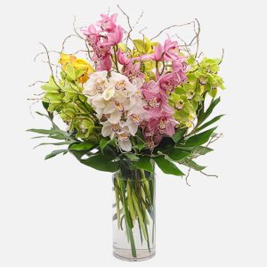 Tropical Orchid Cascade – Large Cymbidium & Monstera Leaf Arrangement