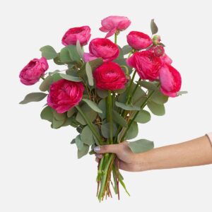 Bright pink ranunculus bouquet with greenery and eucalyptus