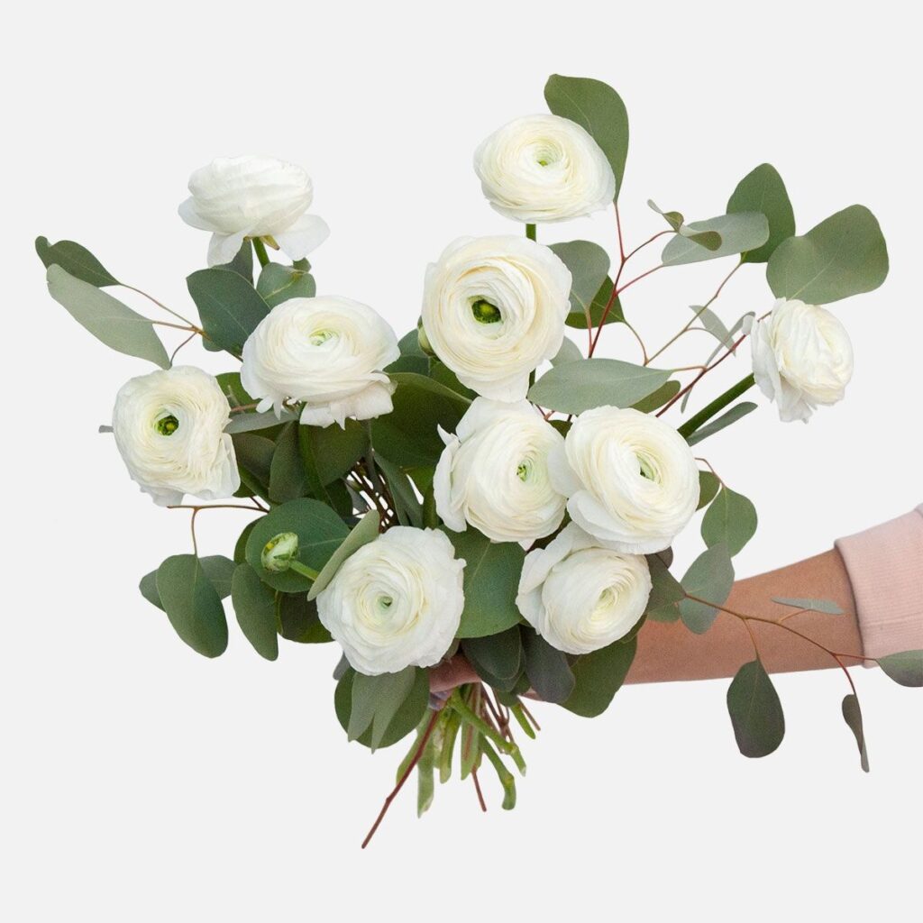 white ranunculus bouquet, by florist marketplace