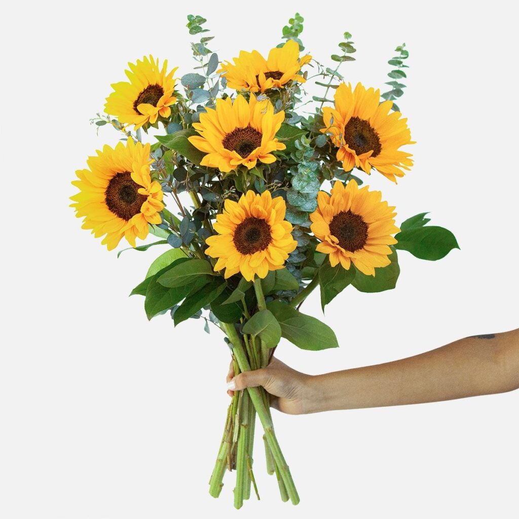 Golden sunflower bouquet wrapped in brown kraft paper with eucalyptus accents