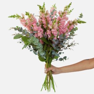 Pink snapdragon bouquet with greenery and eucalyptus