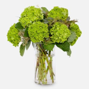 Bouquet of emerald green hydrangeas with greenery and eucalyptus