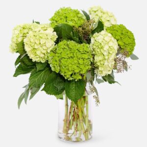 Bouquet of lime green hydrangeas with greenery and eucalyptus