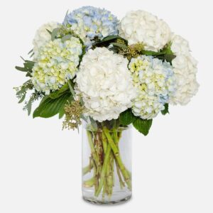 Ella Hydrangeas bouquet with greenery and eucalyptus