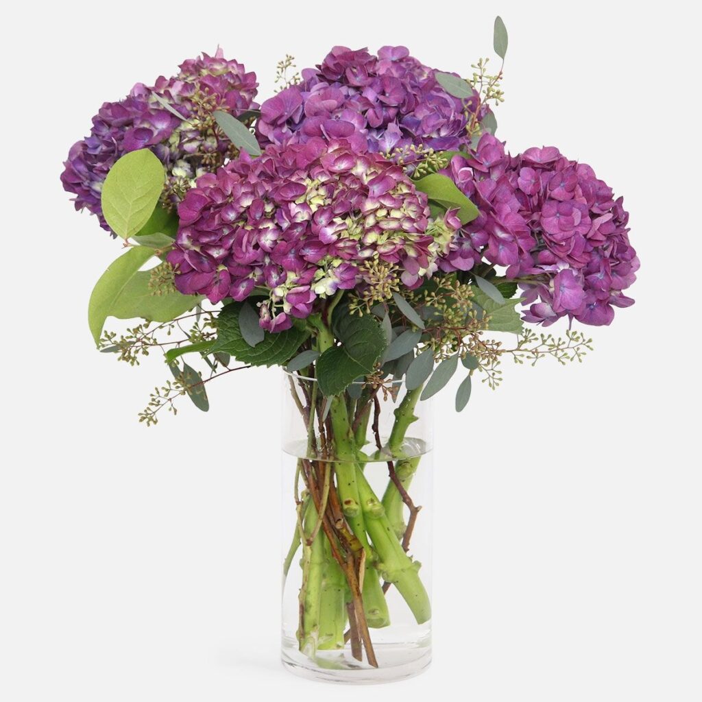 Purple hydrangea bouquet in clear vase